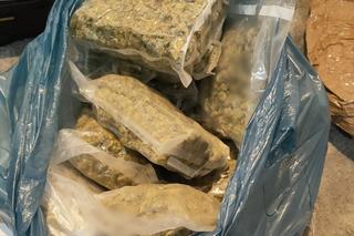 Maryśka jak złoto! Zgłosił kradzież złota po dziadku, okazało się, że ukradli mu 10 kg zioła!