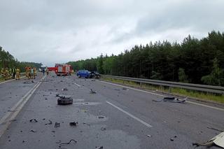 Śmiertelny wypadek pod Bełchatowem. Kierowca osobówki nie żyje, ciężarówka spłonęła [ZDJĘCIA].