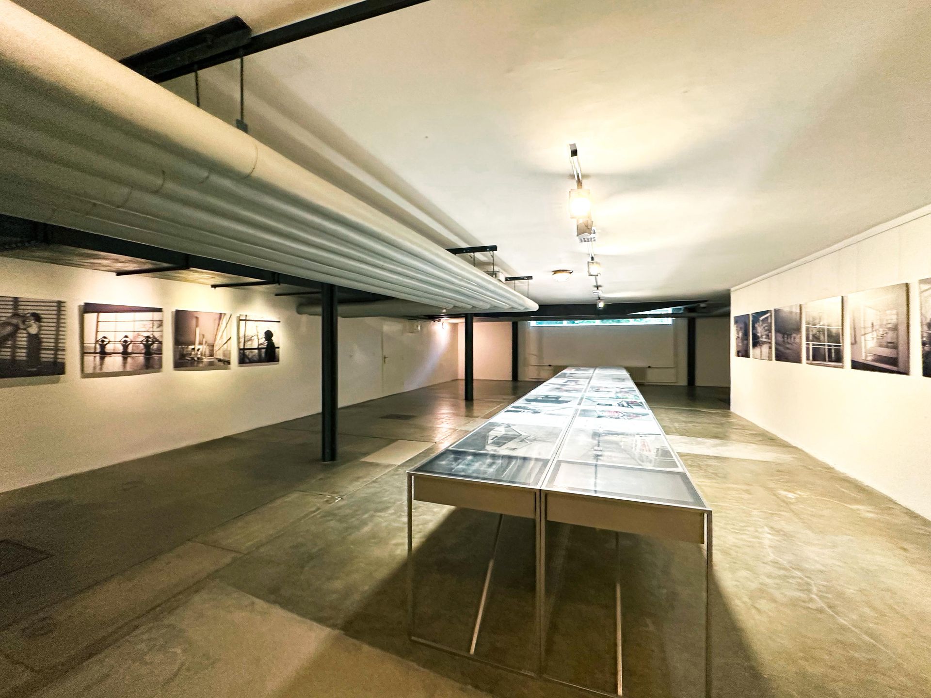 Willa Tugendhatów w Brnie