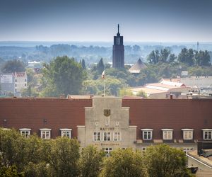 Będzie więcej drzew w centrum Gorzowa