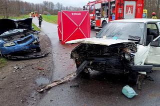 Kierowca volkswagena nie żyje, 4-letnie dziecko zabrał śmigłowiec! Makabryczny wypadek w Łódzkiem