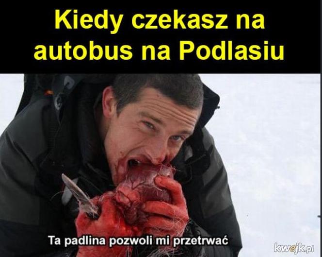 Najlepsze memy o Podlasiu. Zobacz najciekawsze memy o województwie podlaskim. Ubaw do łez!