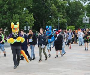 Marsz futrzaków w Lublinie. Tak wyglądał I Lubelski Fursuitwalk