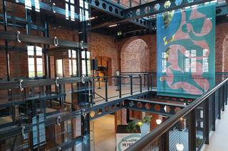 Wakacje w Bydgoszczy. Za darmo obejrzysz wystawy, pójdziesz na spacer z przewodnikiem czy do kina