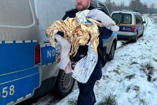 Karczemna awantura w obronie matki, która mieszkała z dwulatką w namiocie. Słów mi brak na bezdusznych urzędasów