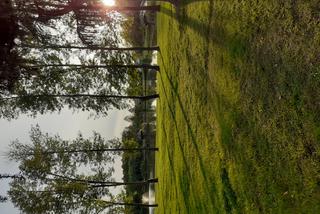 Wycieczka krajoznawcza Muzeum Regionalnego w Siedlcach śladem upamiętnień wojny polsko-bolszewickiej z 1920 roku