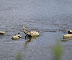 Alarm! Wisła wysycha na naszych oczach. Katastrofalny poziom wody w Warszawie