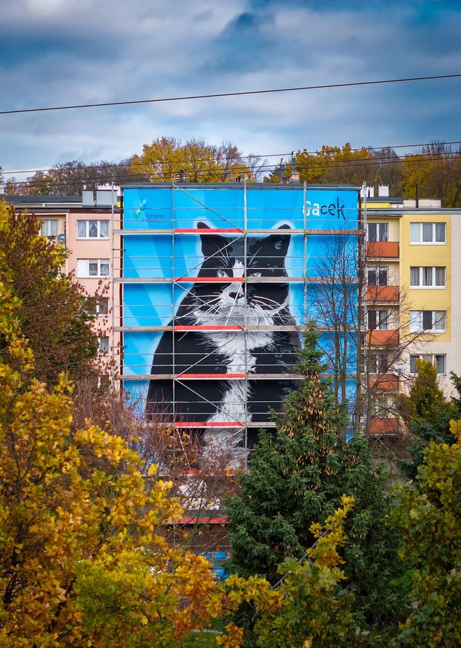 Na ul. Rugiańskiej powstaje mural z kotem Gackiem