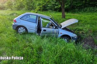 Zabrał samochód brata i skończył w rowie