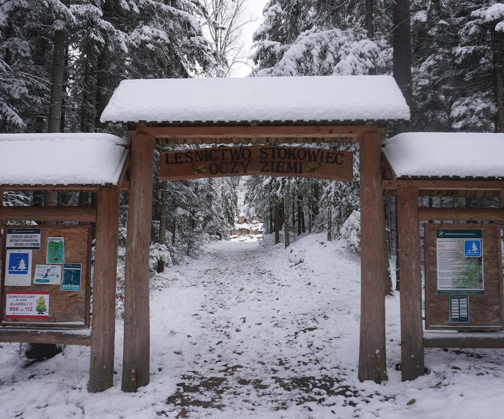 Rezerwat Oczy Ziemi. Tak wygląda zimą