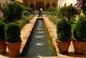 Ogród w stylu arabskim - jak urządzić ogród arabski?