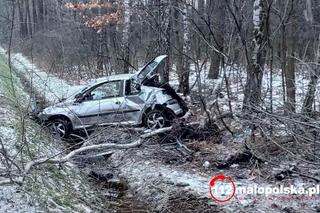 Peugeot roztrzaskał się pod Tarnowem. Samochód wypadł z drogi i wylądował w rowie [GALERIA]