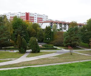 Park Rury w Lublinie w jesiennej odsłonie! Zobacz koniecznie jak teraz wygląda. Zdjęcia z ziemi i nieba