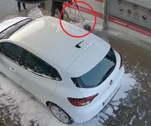 Umył psa na myjni samochodowej, teraz może trafić do więzienia. 45-latek usłyszał zarzut