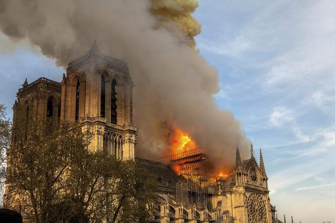 Pszczoły przeżyły pożar Notre Dame 
