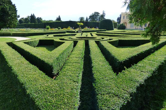 W Ogrodzie Botanicznym ma powstać labirynt z żywopłotu