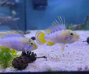 Rozmawiamy z Tomaszem Wiśniewskim, założycielem Aqua Dreams Bydgoszcz