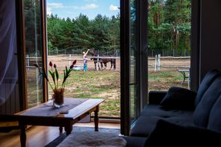 Małgorzata buduje dom według projektu gotowego Muratora