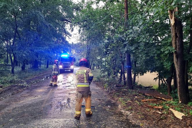 Tragiczne skutki nawałnicy na Kujawach i Pomorzu! Jednej osoba wciąż nie odnaleziono