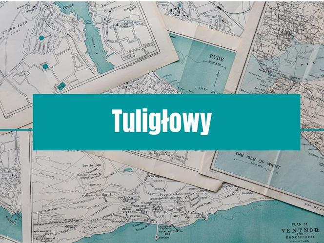 Najzabawniejsze nazwy miejscowości na Podkarpaciu