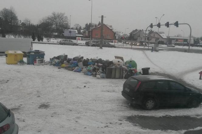 Czy podziemne kosze nie zdają egzaminu?