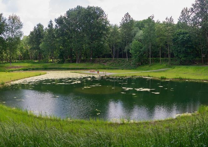 Rów Kalny w Sosnowcu znajduje się w Parku Tysiąclecia