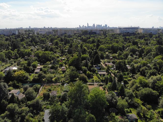 1. Warszawa - mediana wynagrodzeń miesięcznych brutto (marzec 2025): 9316,35 zł