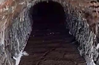 Pod Zamkiem Królewskim odkryto tajemniczy tunel! [WIDEO]