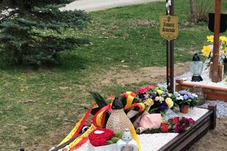 Tajemniczy napis na wieńcu. „Było nas siedmioro...”