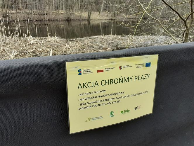 Ochrona żab na Barbarce