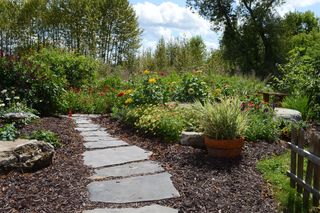 Ścieżka w ogrodzie