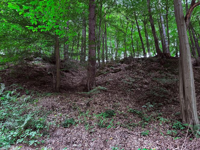 Ulica Tatrzańska w Brodach koło Starachowic