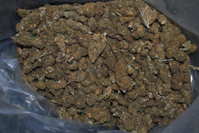 2000 tabletek ekstazy, 10 kg marihuany. Transport narkotyków zatrzymany