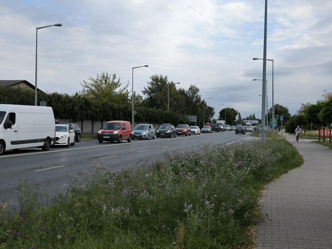 Ulica Gronowska w Lesznie