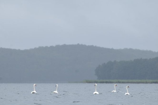 Jezioro Drawsko