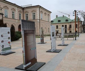 Spacer po centrum Lublina. Czy w mieście czuć już wiosnę?