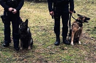 Policyjna akcja zakończyła się sukcesem