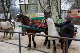 Krynica Zdrój zimą