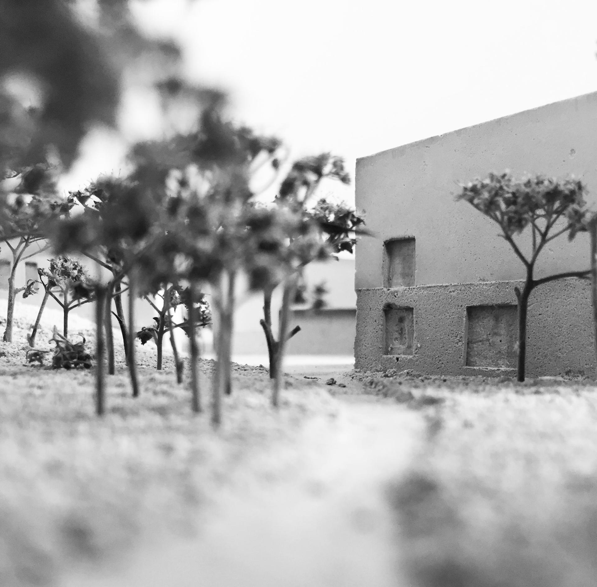 67402499_1212109442283083_6805285438954143744_o