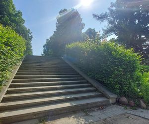 Park Miejski w Zamościu