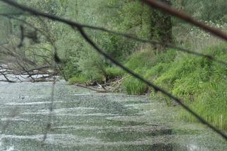 Młoda para robiła to nad Wisłą. Teraz grożą im 2 lata więzienia!