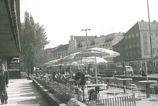 Kawiarniane ogródki we Wrocławiu już dawno miały klimat! Zobacz, jak kiedyś wyglądały [ZDJĘCIA]