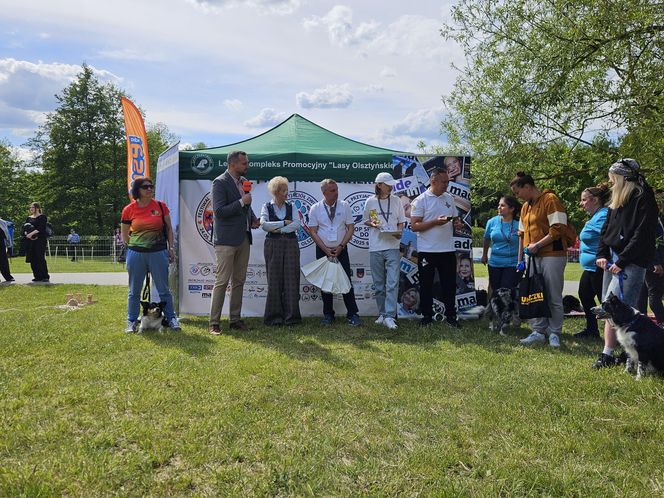 Festiwal Przyjaciół Zwierząt w Olsztynie. Park Centralny opanowały radosne pieski
