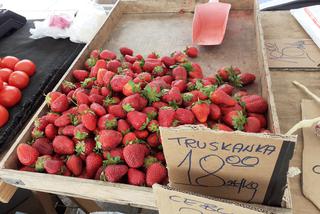 Ceny truskawek w Elblągu. Ile kosztują truskawki?