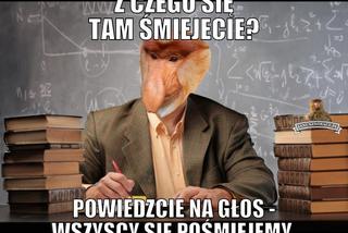 Dzień Nauczyciela 2021. Zobacz najlepsze MEMY!