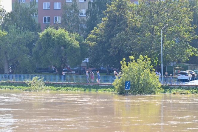 Tak wygląda Oława w czasach powodzi 2024 roku. Poruszający materiał