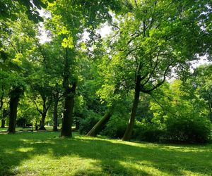Park Miejski w Zamościu