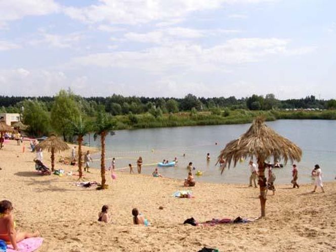 Akwen Tropicana w Owińskach 