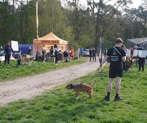 Dogtrekking w Poznaniu