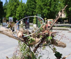 Weekend z florystyką w Lublinie. Zobacz imponujące roślinne instalacje w centrum miasta!